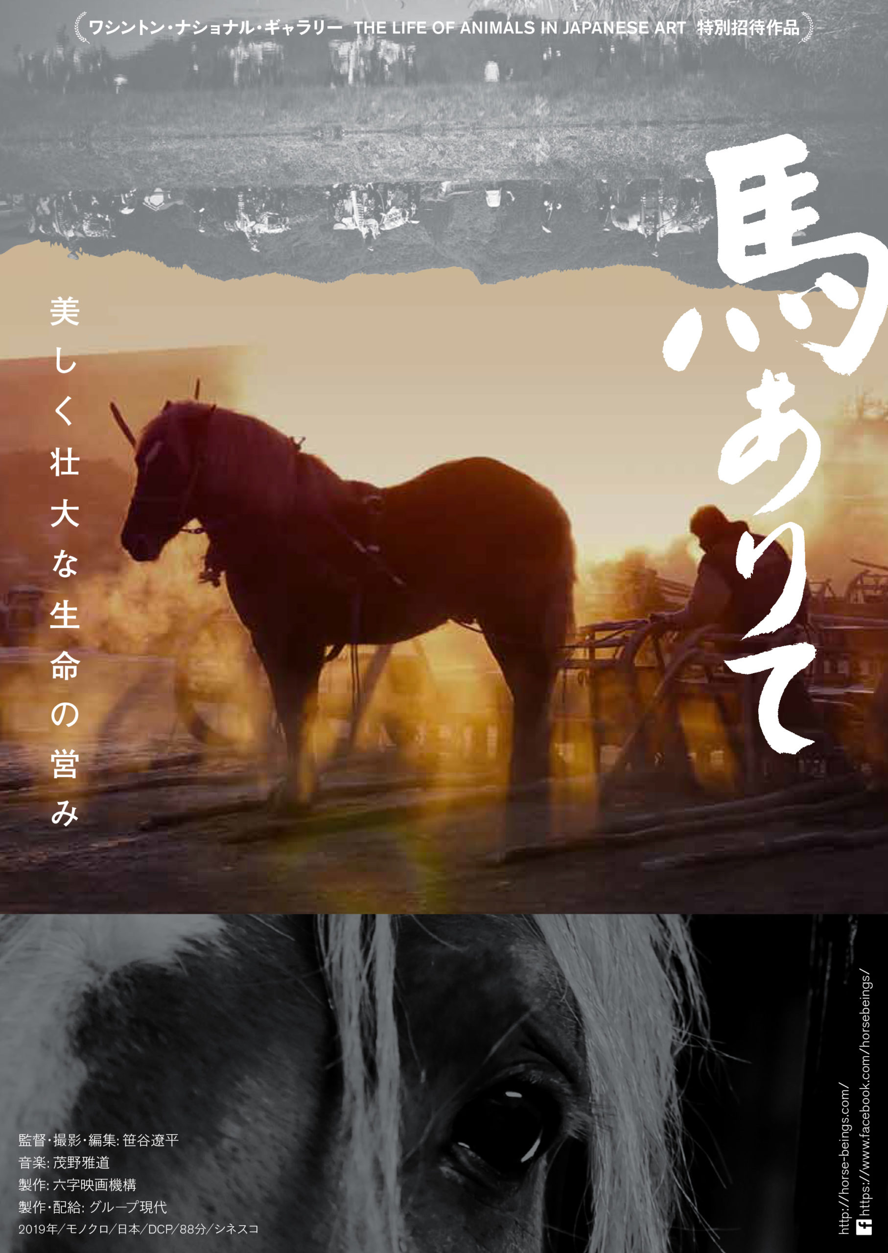 Horse Beings